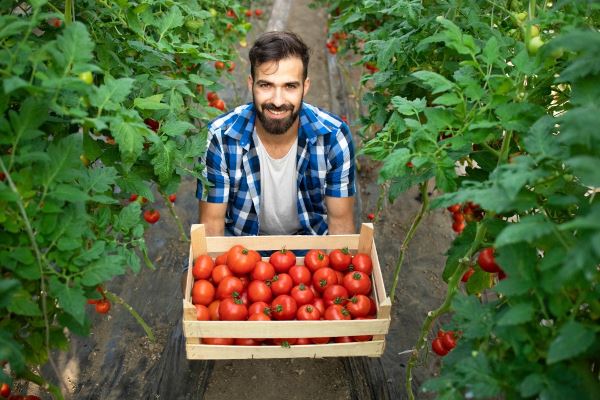 Fitosur: Innovación y Compromiso con el Agricultor