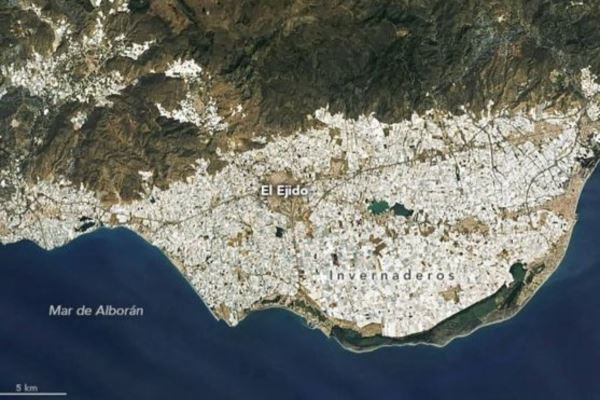 El milagro agrícola de Almería: cultivo bajo plástico al servicio de Europa