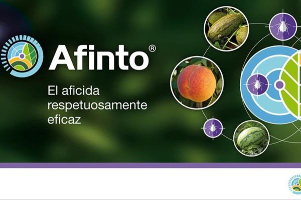 Insecticida Afinto de Syngenta