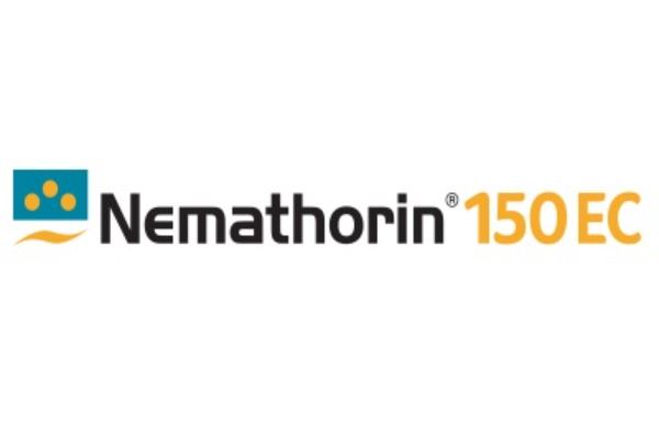 Nematicida NEMATHORIN 150 de Syngenta